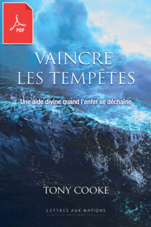 Vaincre les tempêtes (eBook PDF)