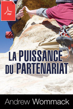La puissance du partenariat - eBook (PDF)