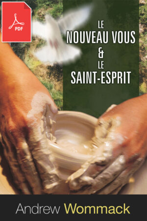 Le nouveau vous et le Saint-Esprit - eBook (PDF)